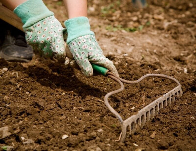 Hands in floral gloves using a rake to till soil in a garden. The background is earthy and brown, with a hint of greenery.