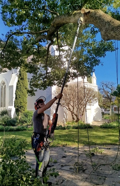 July Recap: Wild Figs, Wind-Blown Hair, and One Very Snazzy Trailer