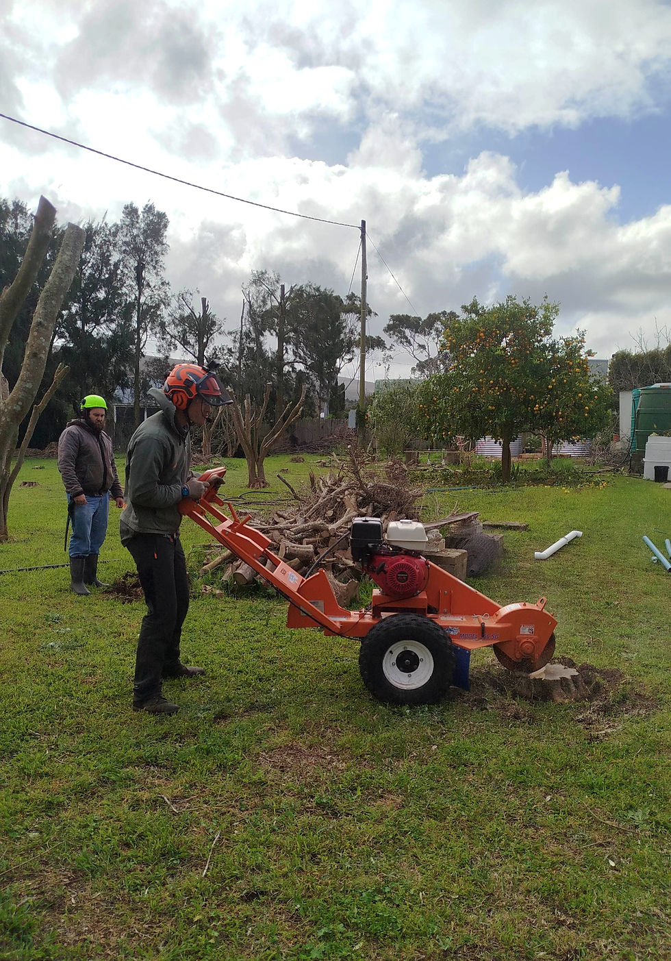 Arborist using a stump grinder