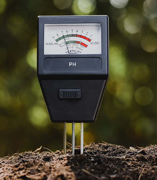 Soil pH meter with colorful gauge stands in soil against a blurred green background. The meter ranges from alkaline to acidic.