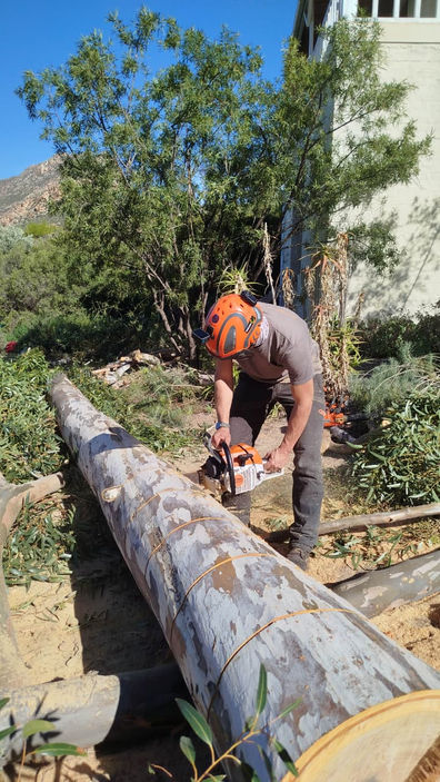 Chainsaw Safety for Homeowners: What You Need to Know