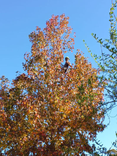 June Recap: Last Leaves, New Roots & Something BIG Coming