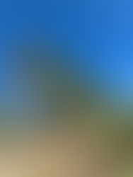 January at Overberg Arborists = New year. Fresh boots. Big energy.