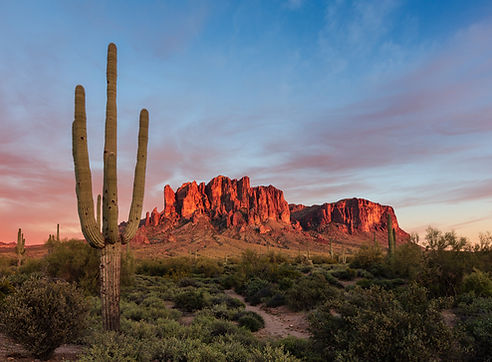 iStock-1388213071.jpg
