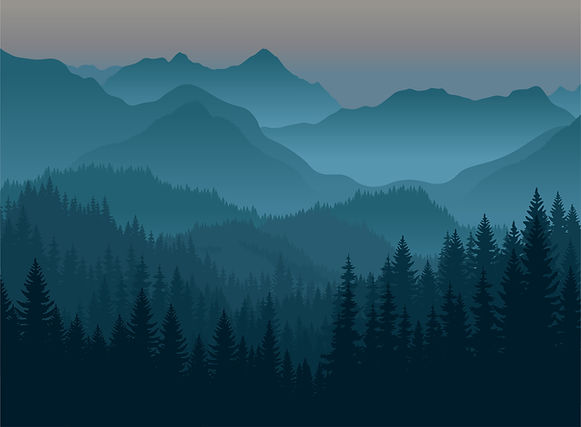 iStock-1448622496.jpg