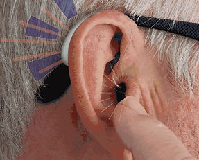 Hearing Aid Feedback.jpg