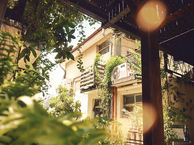 IMAG2588-fotor-2024080211254_edited_edit