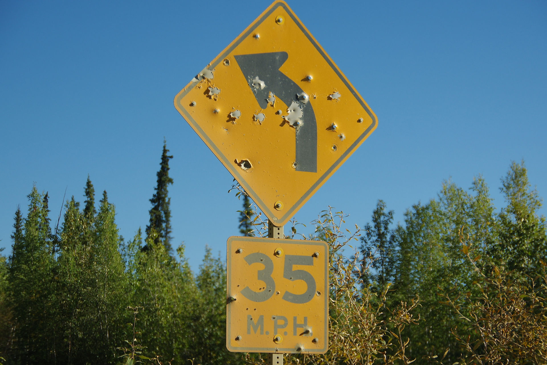 IMGP4127