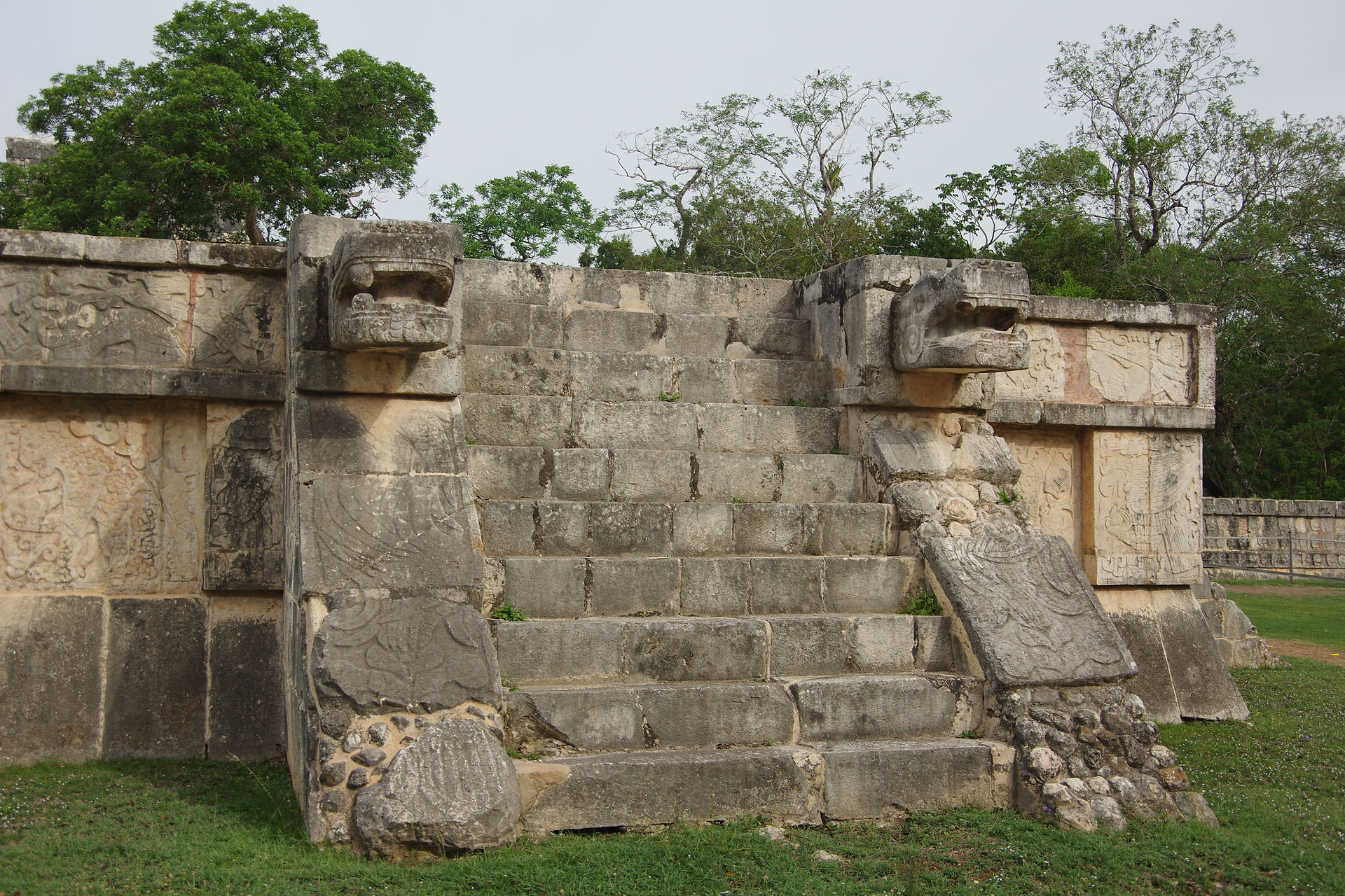 IMGP1584
