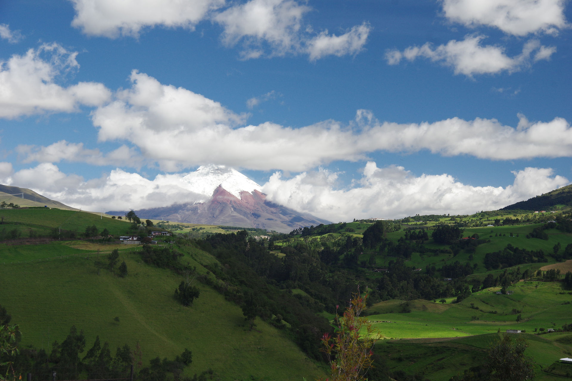 IMGP0645