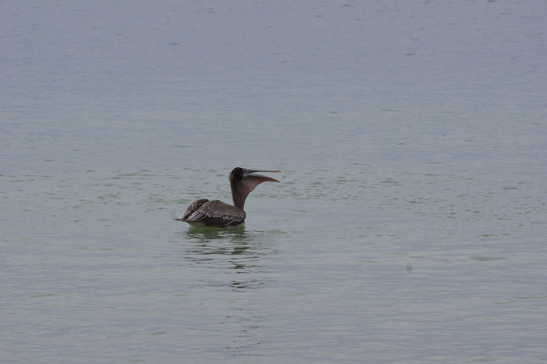 IMGP0573