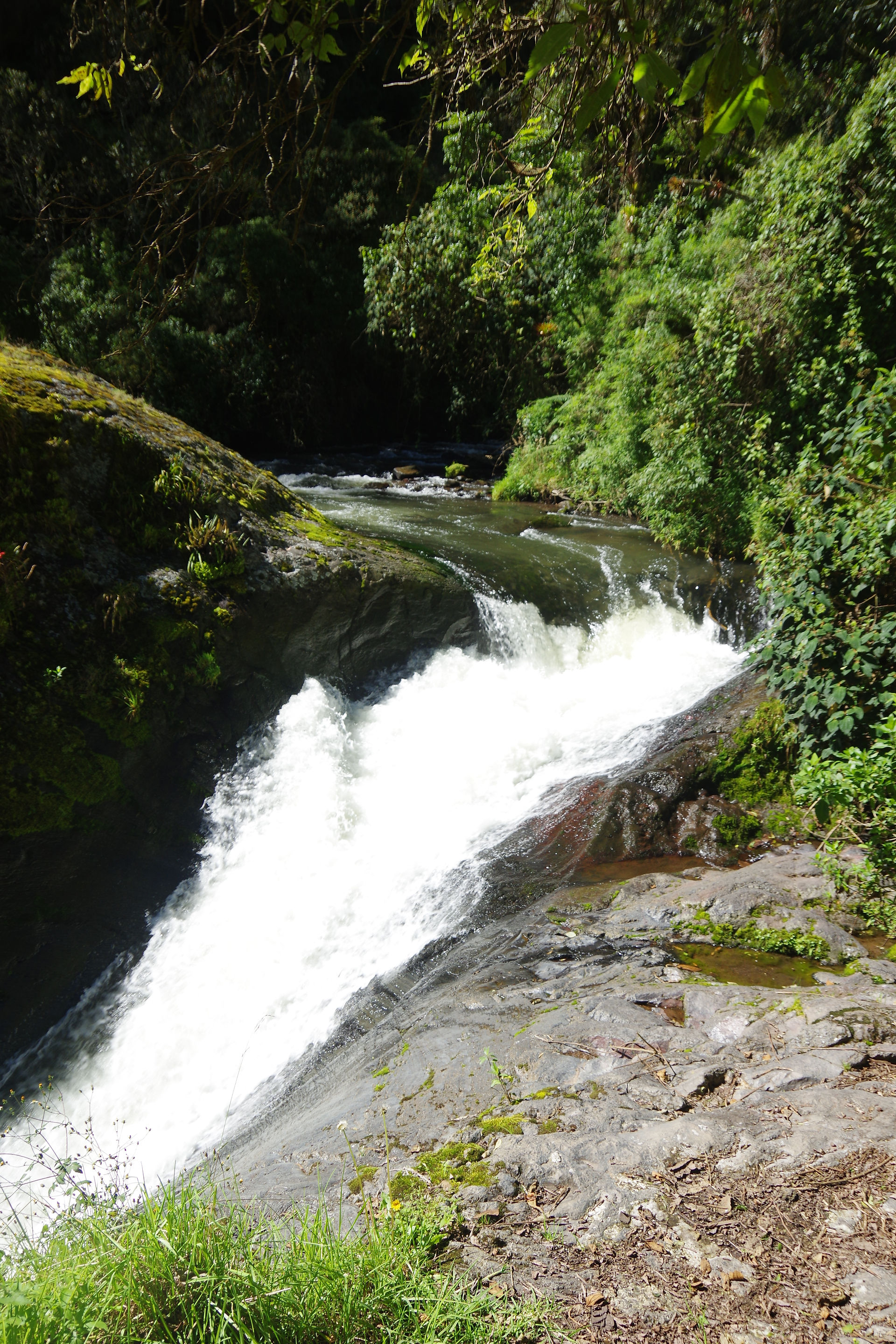 IMGP0665