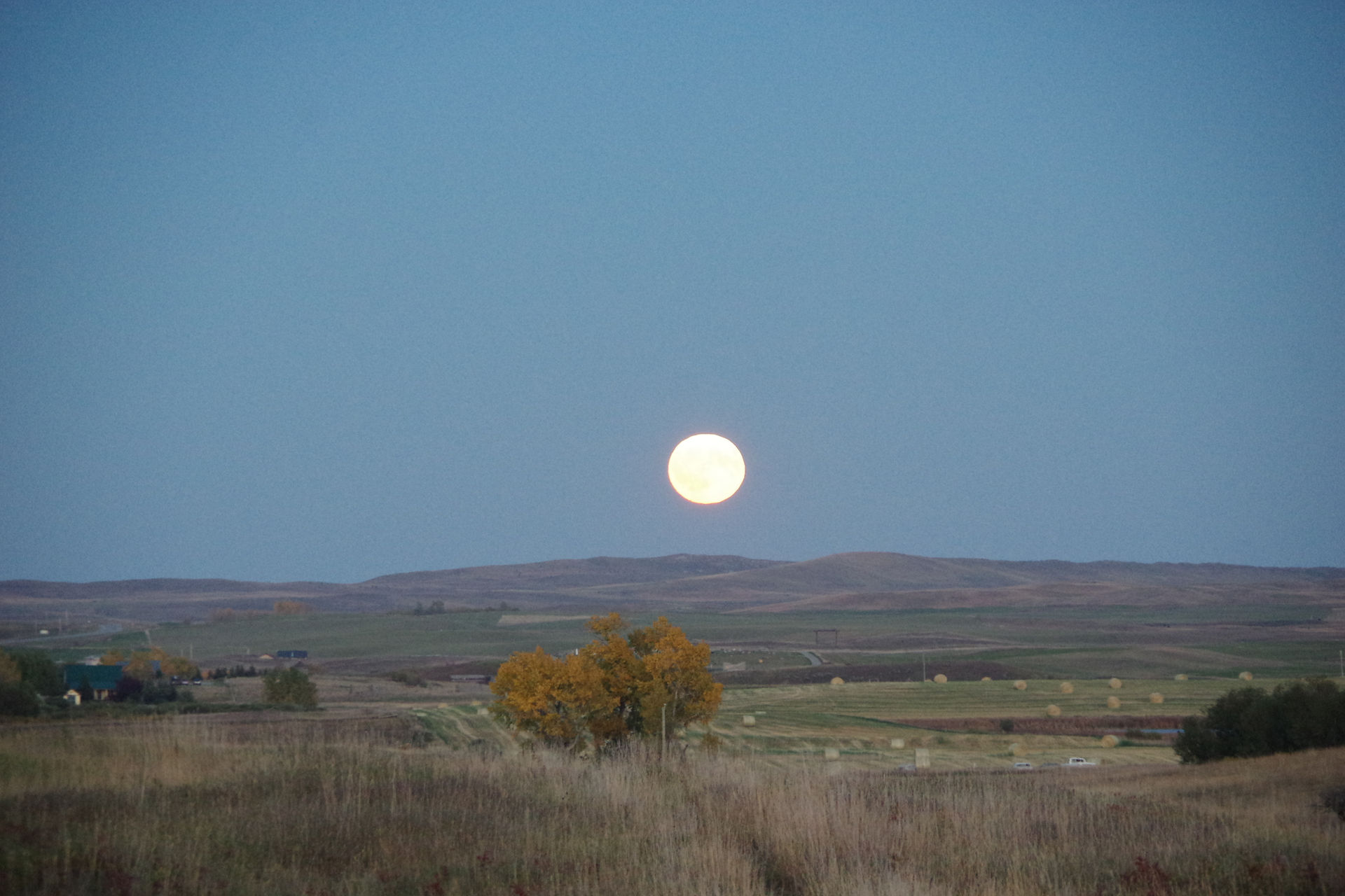 IMGP5063