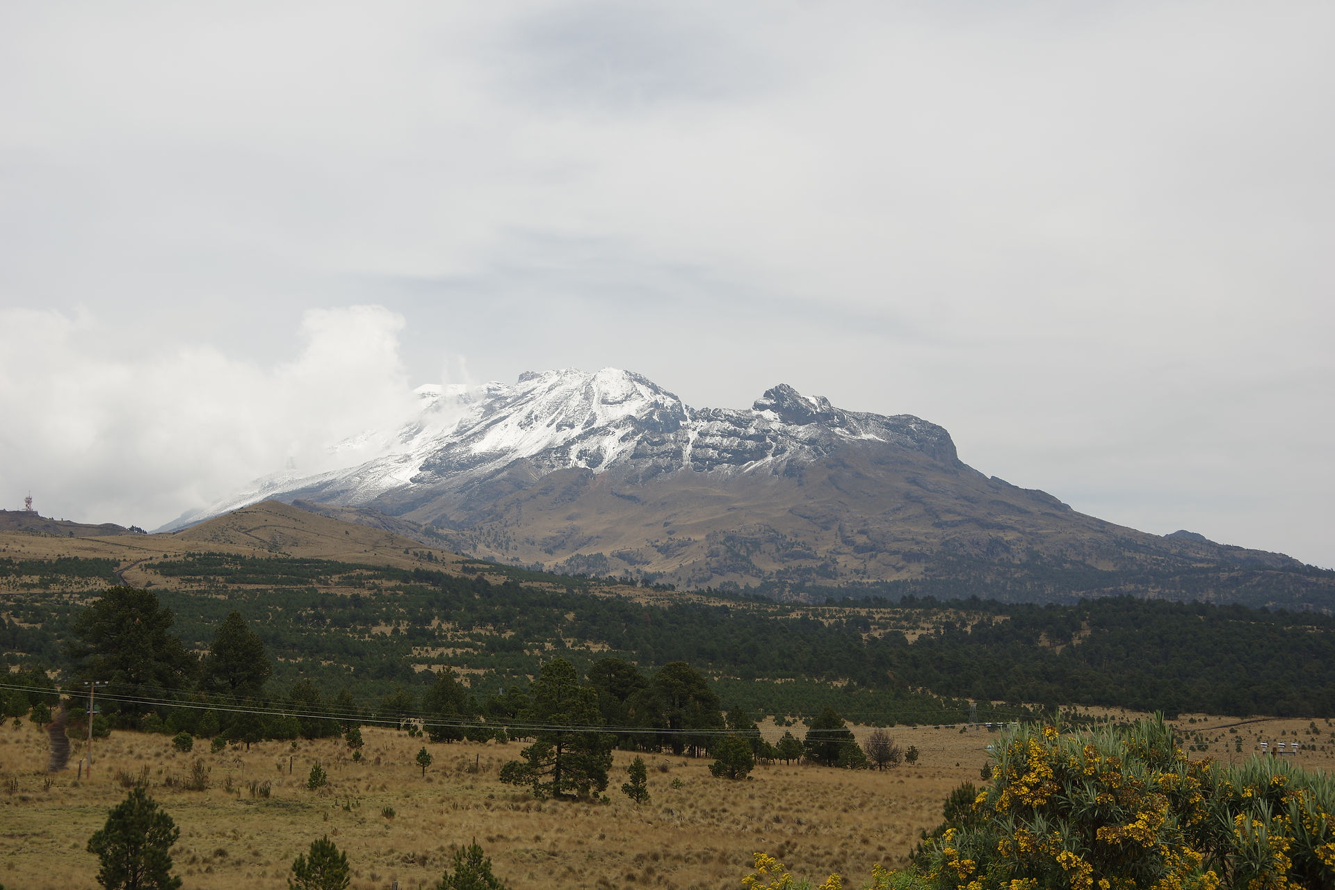 IMGP0701