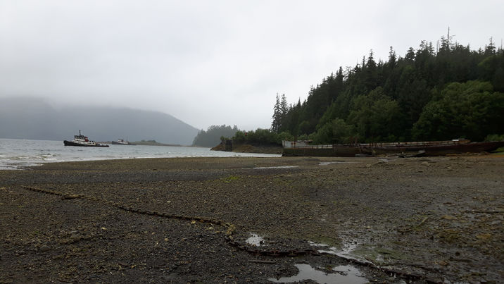 Stikine River and Shakes Glacier - Alaska