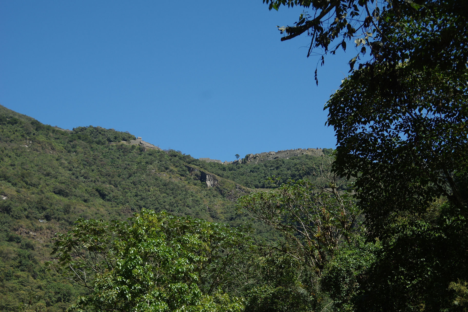 IMGP3536
