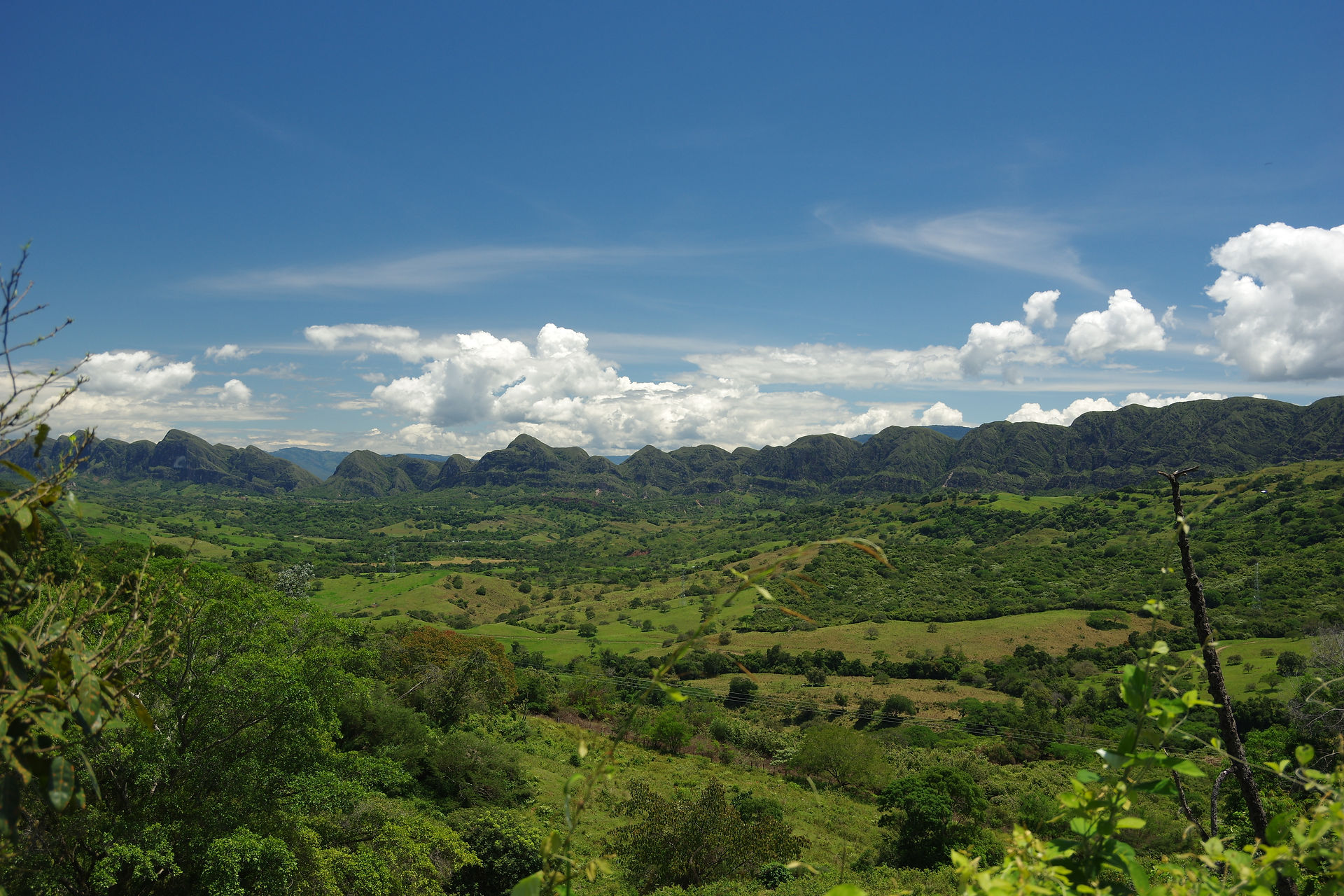IMGP7882