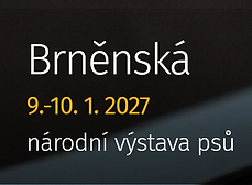 Brněnská národní výstava psů