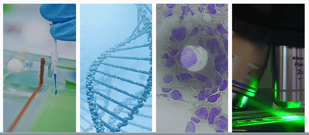 Bandeau_Program_Microgenomics.gif