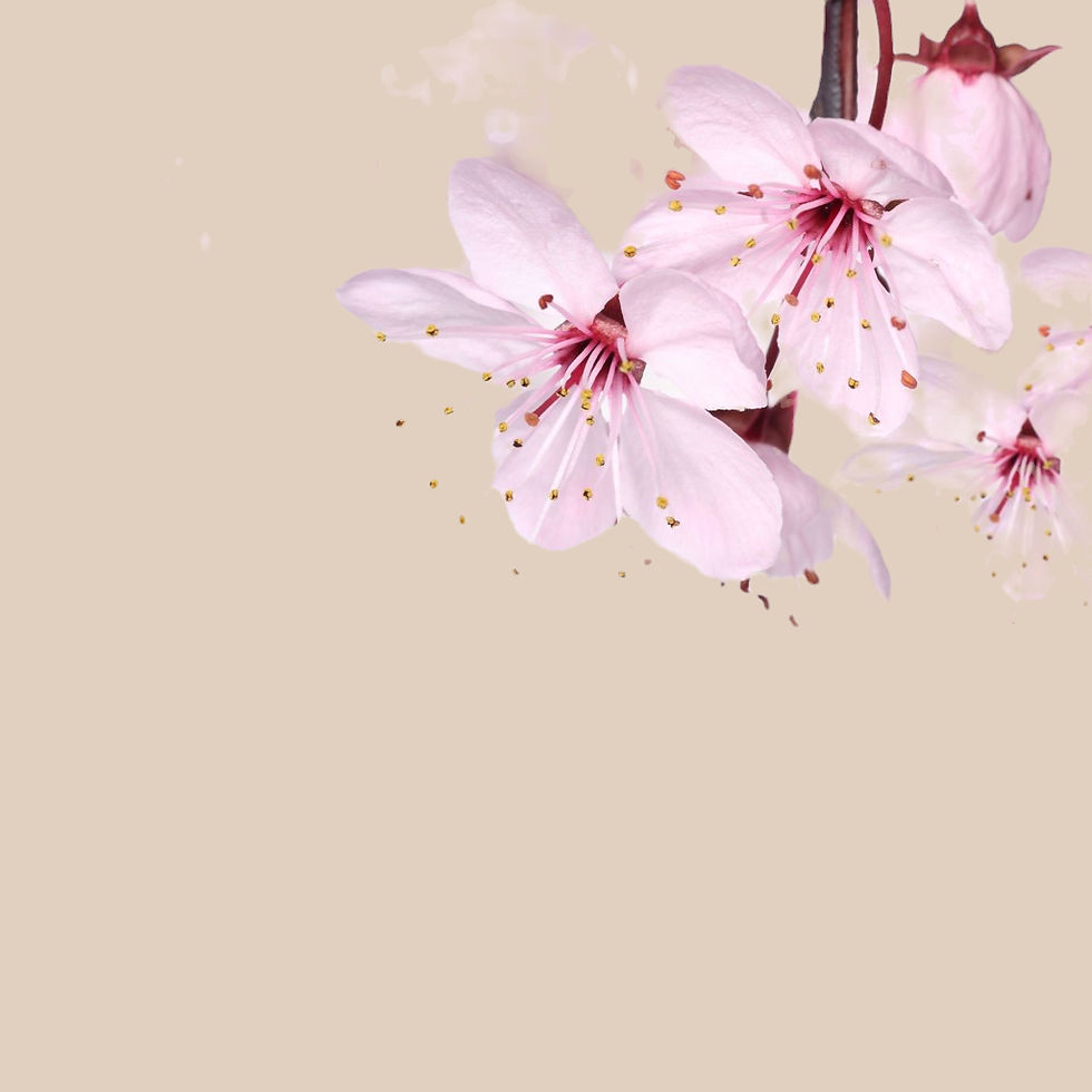 sakura couleur inversion_edited.jpg