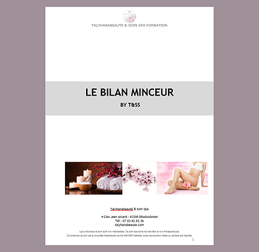 BILAN MINCEUR: LE COURS ET LA FICHE BILAN MINCEUR