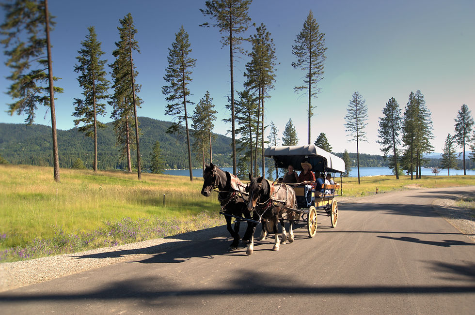 The Falls at Hayden Lake Gated Community