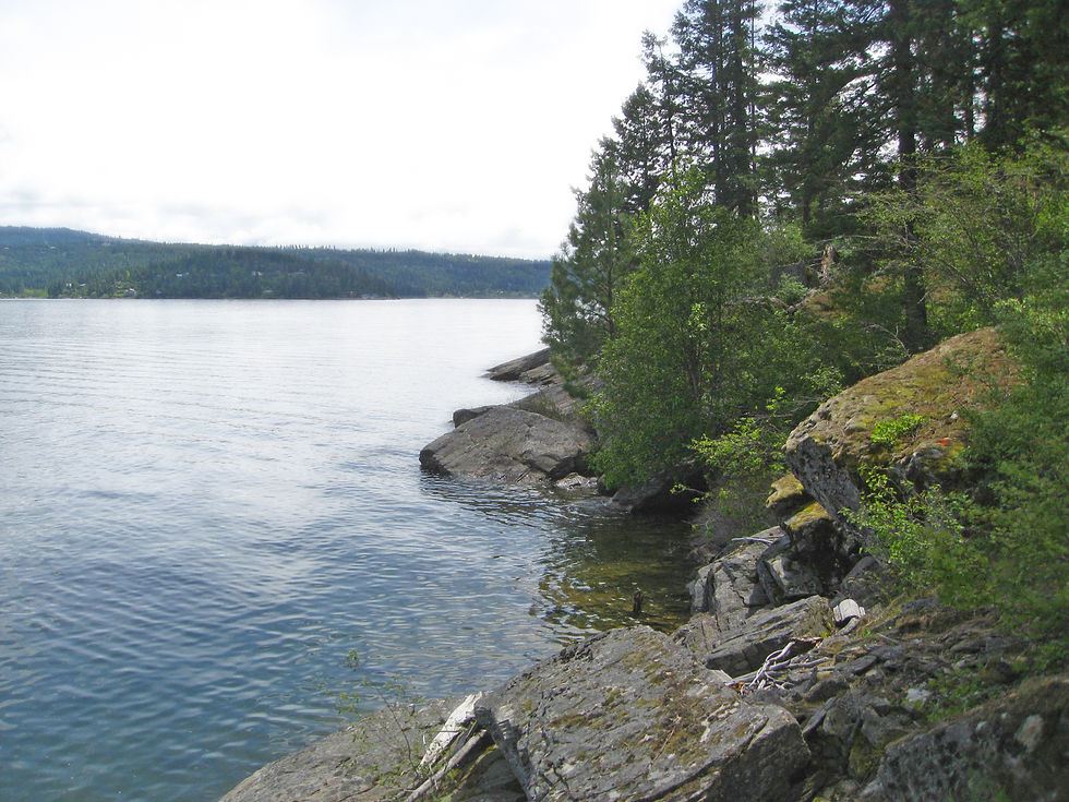 Coeur d'Alene Lake Real Estate