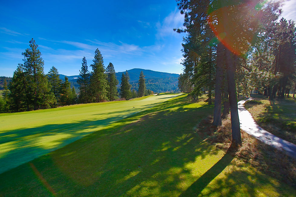 View of Hole 11 towards Green