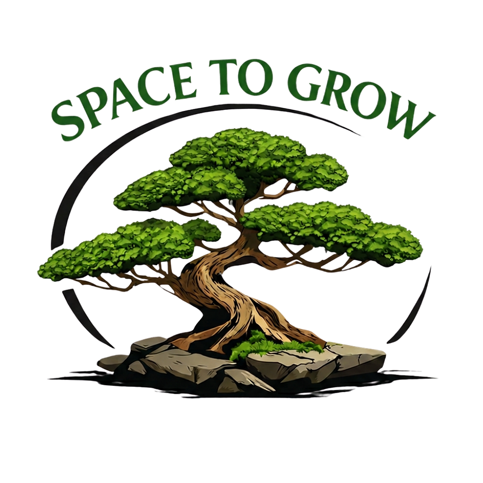 logo STG arch white bg.png