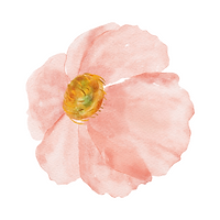 9.png