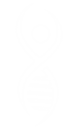 White Logo by itself.png