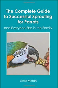 The Complete Guide to Successful Sprouting for Parrots