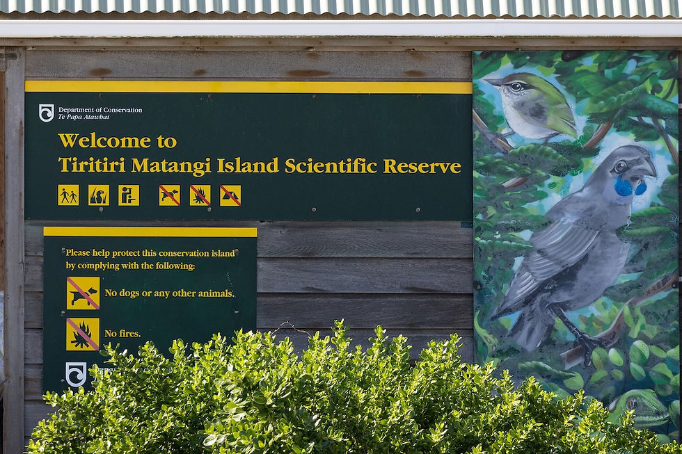 Tiritiri Matangi