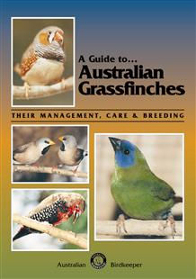 A Guide to Australian Grass Finches