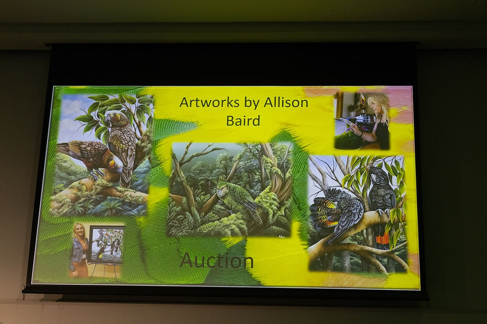 Auction 2025