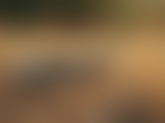 The Importance of Safety Talks: Why Snake Safety Matters