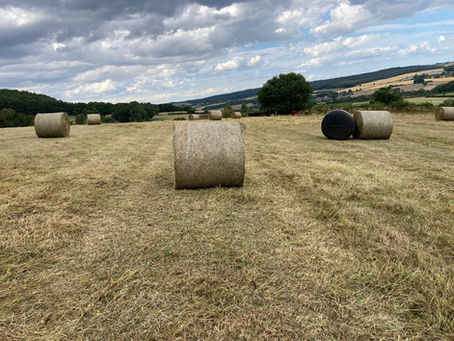 This Summer’s Hay Is In