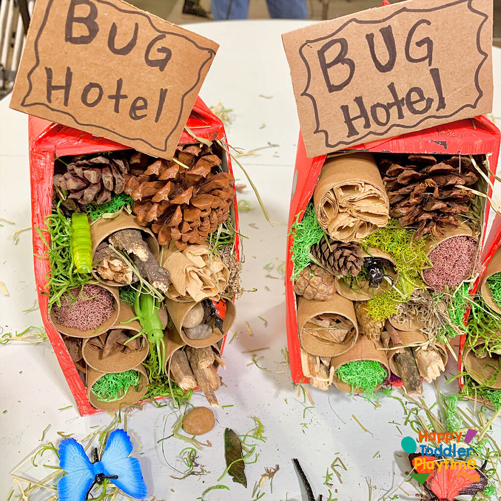 Youth Activities- Bug Motel