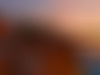 I have a million reasons to love the Rhine in Summer... here are but a few.