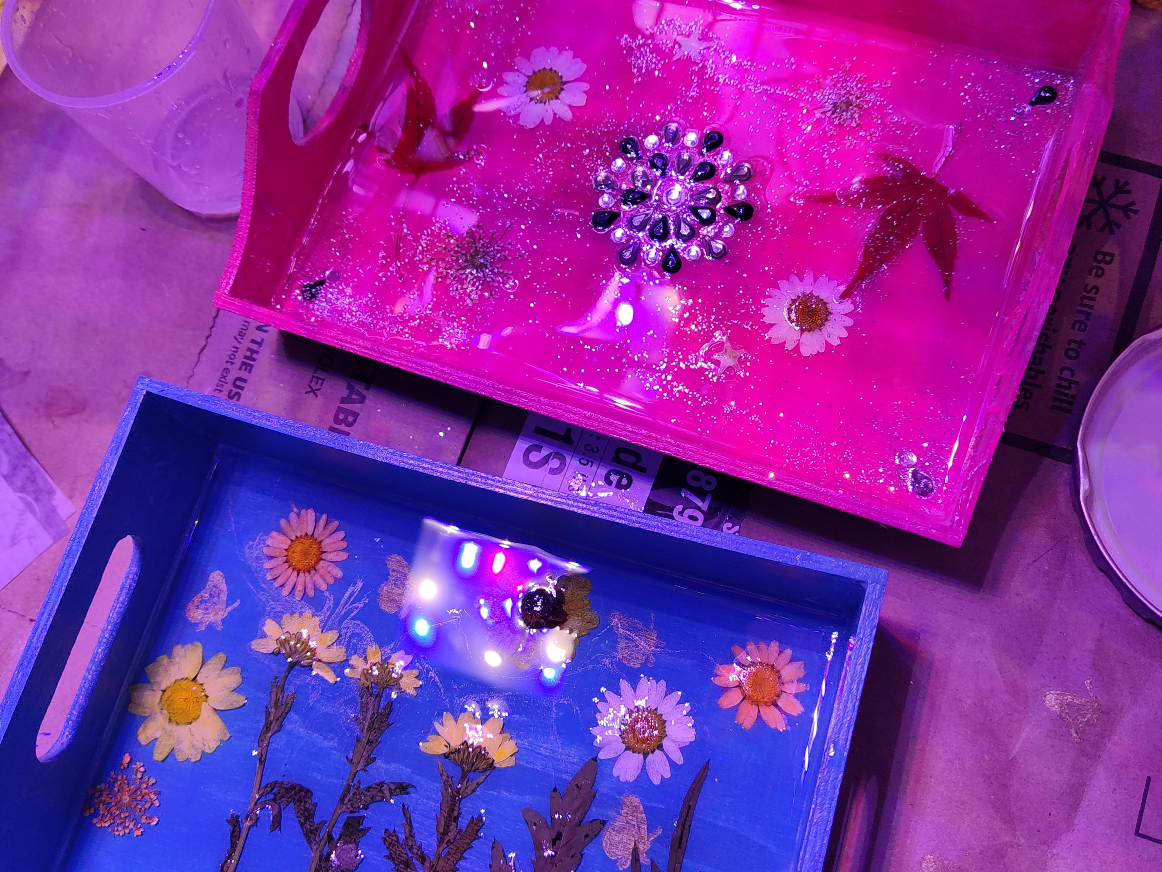 Sassy Cat's Custom trays