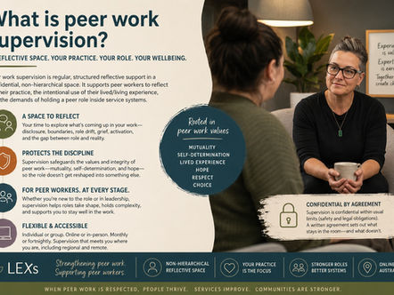 Peer work supervision session showing a supervisor and peer worker in reflective conversation about lived/living experience practice.