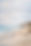 LEXs Website background_edited.jpg