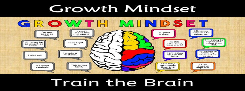 growth mindset examples in business