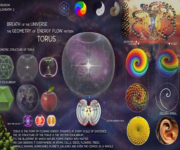 Creative Imagination: The Gateway to Infinite Possibilities