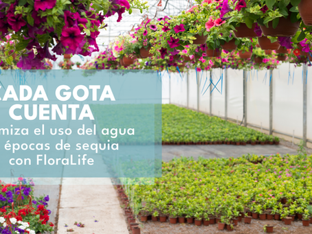 Cada gota cuenta: cómo FloraLife puede ayudar a optimizar el uso del agua.