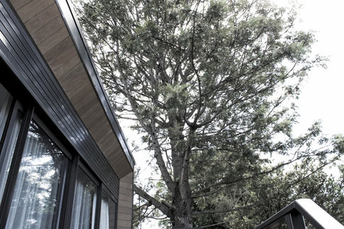 Rozelle House