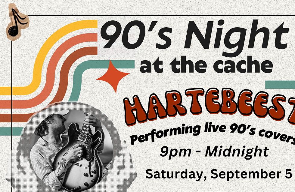 90s Night - Hartebeest Performing Live Covers