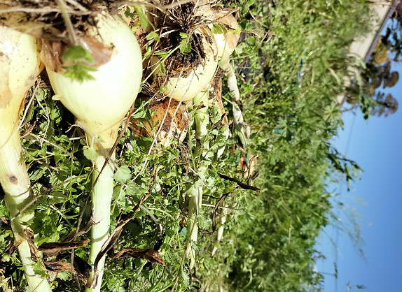 IMG20230408131640.jpg