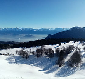 82057921_2720602341392844_36569848866878