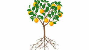 Un árbol transplantado: intervención en el apego y trauma